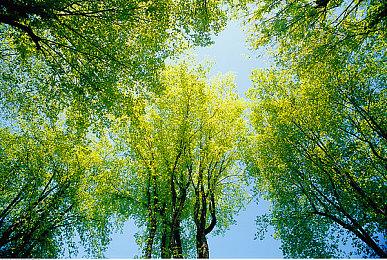 港服PS+三档会员开启《幽灵线：东京》试玩 存档奖杯可保留